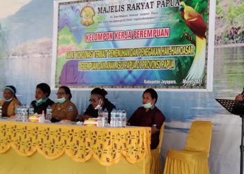 Kepala DP3A : Kucuran Dana Otsus, Fokus Kegiatan  Pengembangan Talenta Perempuan di Kampung