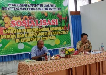 Dinas TPH Sosialisasikan Budidaya Pengembangan Sayuran dan Buah Semusim