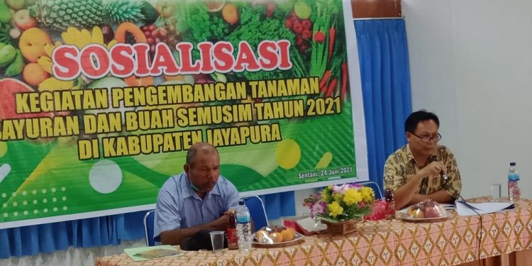 Dinas TPH Sosialisasikan Budidaya Pengembangan Sayuran dan Buah Semusim