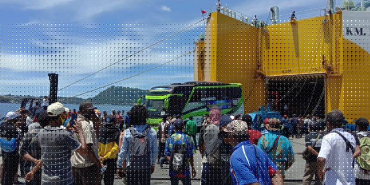 Diangkut KM Dharma Kencana VII,  316 Bus PON Papua Tiba di Jayapura