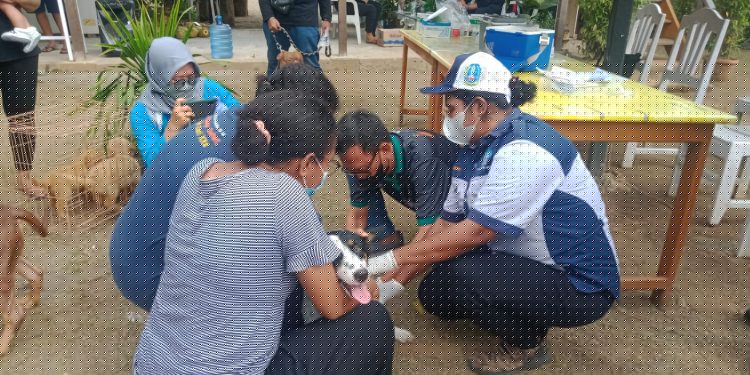 Sambut Hari Rabies Sedunia, Disbunnak Gelar Vaksinasi Rabies Gratis