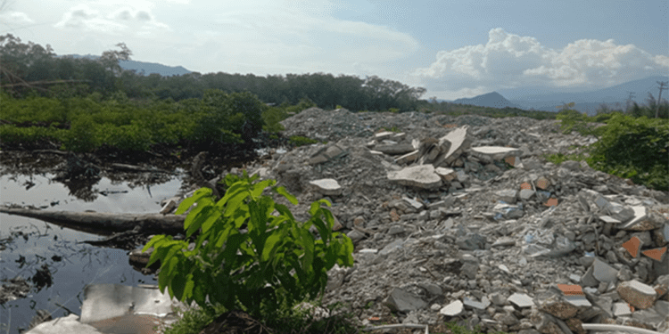 Nasib Mangrove Kampung Enggros