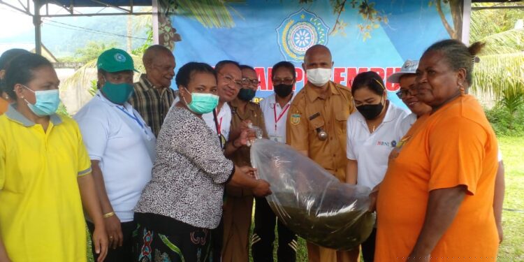 Tingkatkan Ekonomi Keluarga,TP – PKK Papua Serahkan 500 Ekor Bibit Ikan Mujair, Nila kepada  Kelompok Otauw Mokho