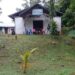 Hanya Modal Semangat Dan Cinta Kampung Pemuda – Pemudi Kampung Sereh Lakukan Berbagai Kegiatan Bakti Natal