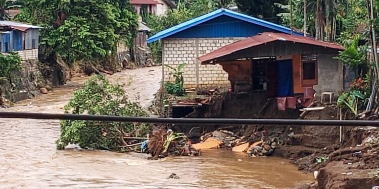 Kali Koyabu Ekspo Waena Meluap Menghanyutkan Jembatan Kayu, Rumah Warga dan Hewan Ternak