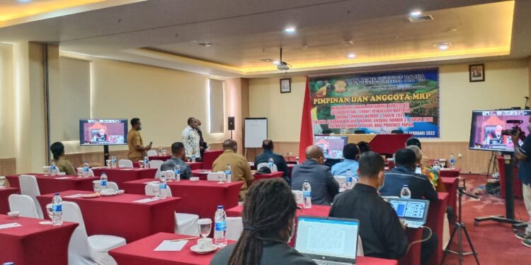 MK Gelar Sidang ke 4 Mendengar Keterangan Ahli, Terkait Pengujian Materiil UU Otsus Papua 