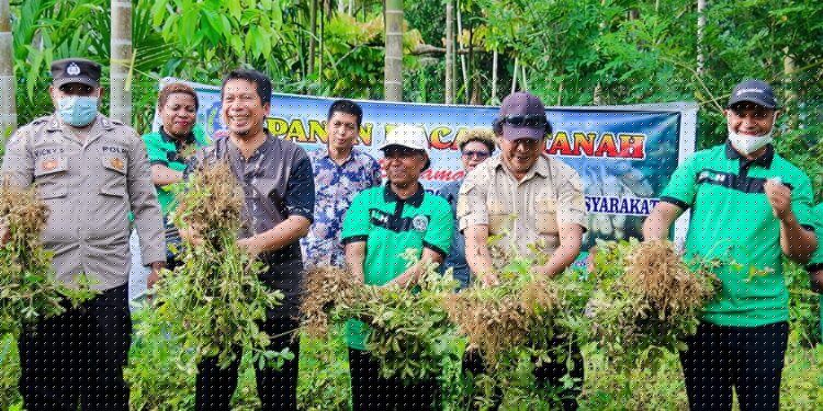 Wagus Hidayat Bersama Kepala Kampung Sereh Panen Kacang Tanah