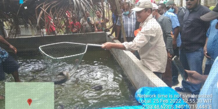 Joko Sunaryo Wakil Bupati Jayapura Panen Ikan Air Tawar di Nimbokrang