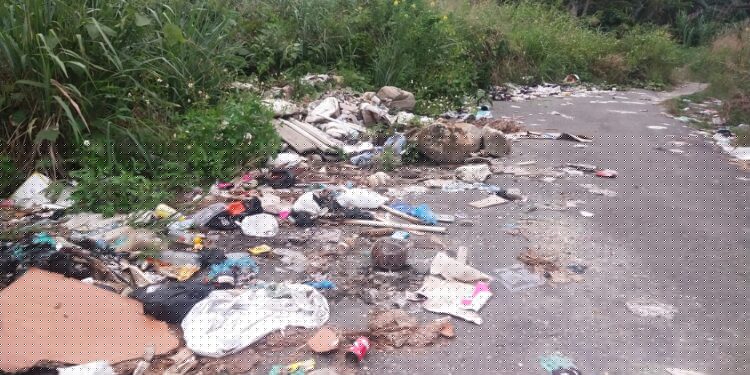 Kepala DLH Himbau, Warga Buang Sampah Sebelum Jam 6 Pagi di TPS Yang tersedia
