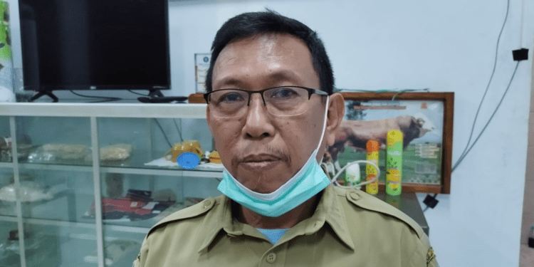 Dinas Perkebunan dan Peternakan Sebut Stok Daging dan Telur Aman untuk Kegitan KMAN VI 2022