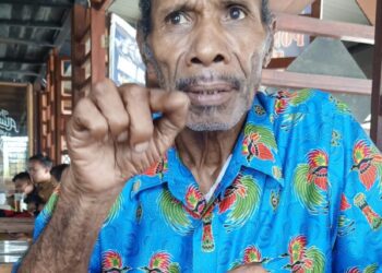Jokowi Diminta Turun Tangan Lantik Kekosongan Wagub Papua