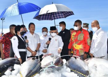 Di Biak Numfor, Wapres Resmikan Pusat Layanan Usaha Terpadu