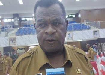 Dinas Kehutanan Papua Ajak Warga Tanam Pohon untuk Tambah Nilai Ekonomi