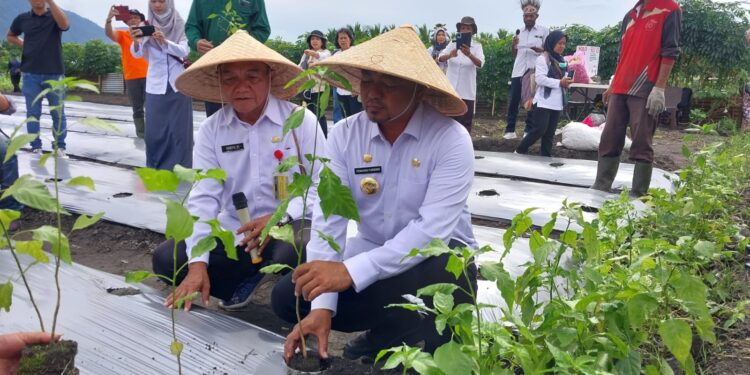 Pj. Bupati Jayapura Luncurkan Program Gerakan Tanam Cabai dan Bawang Merah
