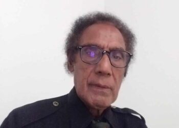 Pengamat Politik Papua : ” Tidak ada jalan lain, Selan Dialog Segi tiga, Papua Jakarta dan PBB Selesaikan Masalah Papua”