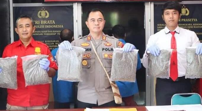 Membawa 1 kg Lebih Ganja, 2 Pelaku Ditangkap Satnarkoba Polres Biak
