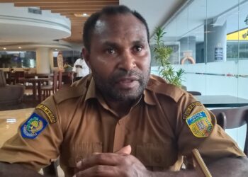 Dinkes Papua Kerjasama Unicef Gelar Pelatihan Aplikasi ASIK bagi Petugas Kesehatan
