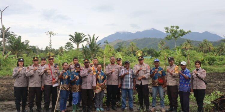 Kapolres Jayapura Bersama Warga Kampung Nolokla Tanam Cabai