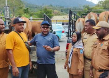 Realisasi , DPMK & OAP Beri Bantuan Kepada 8 Kelompok Usaha OAP