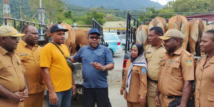 Realisasi , DPMK & OAP Beri Bantuan Kepada 8 Kelompok Usaha OAP