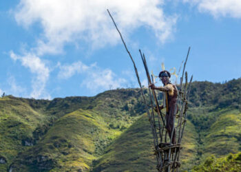 Gubernur Papua Pegunungan Diminta Cermat Dalam Pengusulan MRP