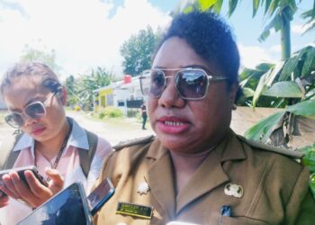 Pemkab Jayapura Lock Down Larang Hewan Ternak Babi dari Timika Masuk Kabupaten Jayapura