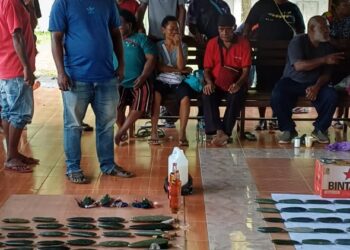 Prosesi Pembayaran Kepala (Young) Oleh Masyarakat Adat Suku Sentani