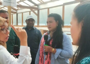 Fibiola Ohei : Target Program Sebagai Anggota MRP’ Adalah Pemberdayaan Dari Kampung