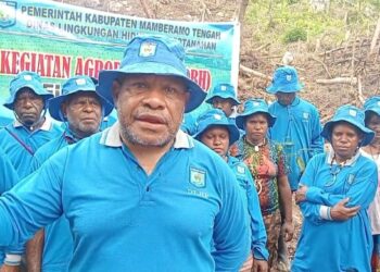 Manfaatkan Program Agroforestri di Kampung Gwagi