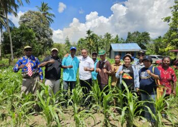 Perdana Penanaman Jagung’ Pj. Bupati Jayapura Ajak Berikan Dukungan Penuh Pengembangan Ketahanan Pangan
