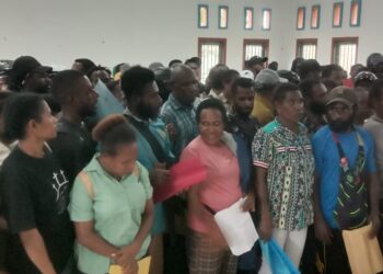 LMA Mimika Menerbitkan Surat untuk Pelamar CPNS OAP 2024