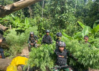 Lahan Ganta Seluas 600 Meter di Temukan Personel Satgas Yonif 122/TS di Perbatasan RI/PNG