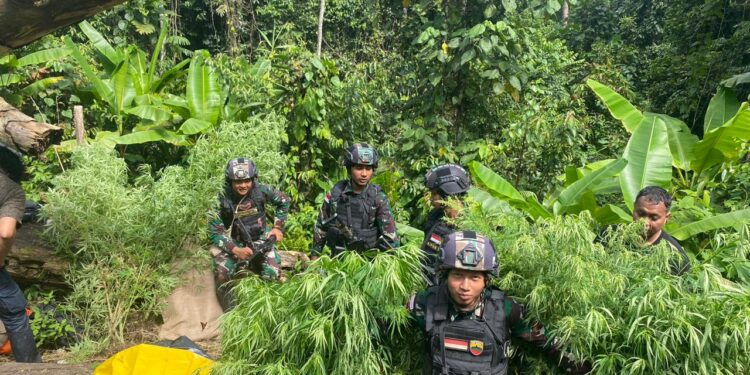 Lahan Ganta Seluas 600 Meter di Temukan Personel Satgas Yonif 122/TS di Perbatasan RI/PNG