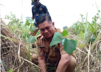 Giat Menyambut HUT ke-45 SMEA/SMKS YPKP Sentani: 300 Pohon Ditanam oleh Alumni dan Siswa