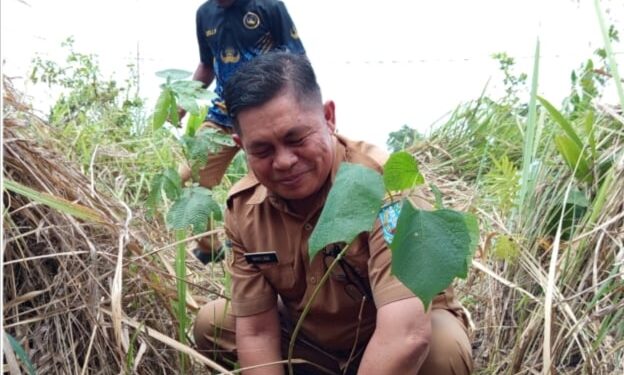 Giat Menyambut HUT ke-45 SMEA/SMKS YPKP Sentani: 300 Pohon Ditanam oleh Alumni dan Siswa