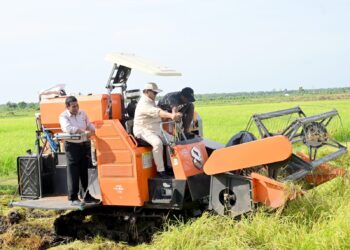 Presiden Prabowo Tinjau Langsung Proses Tanam dan Panen Padi di Merauke