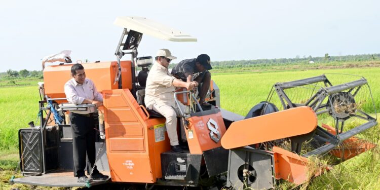 Presiden Prabowo Tinjau Langsung Proses Tanam dan Panen Padi di Merauke