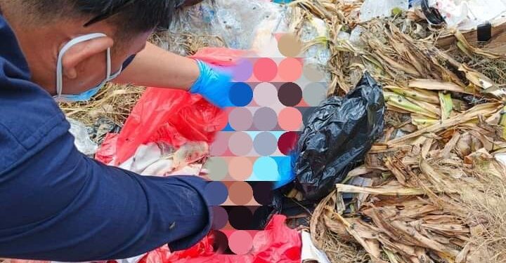 Warga Waibron Dikagetkan dengan Penemuan Mayat Bayi di Tempat Pembuangan Sampah