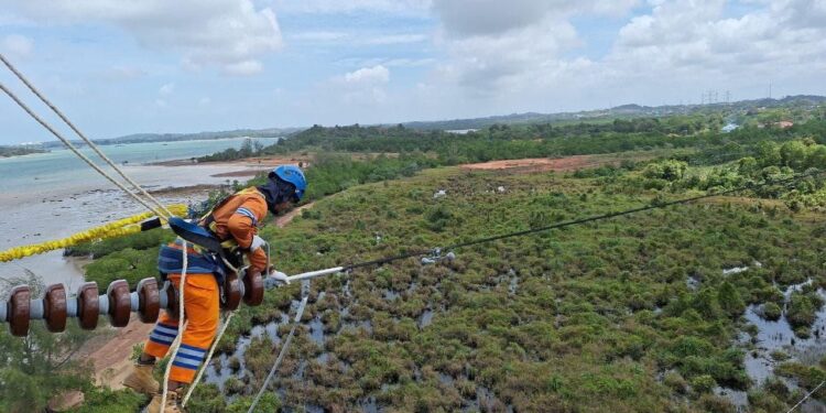 Keandalan Listrik Meningkat, PLN Catat Penurunan Durasi dan Frekuensi Gangguan di 2024