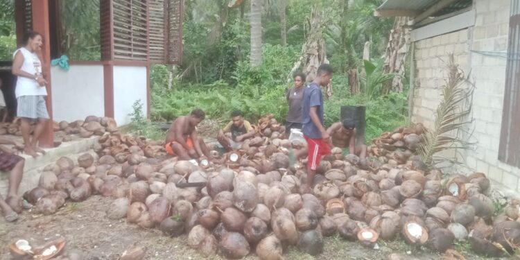 Pengusaha Kopra Kampung Warbor Supiori Minta Perhatian Pemerintah Daerah