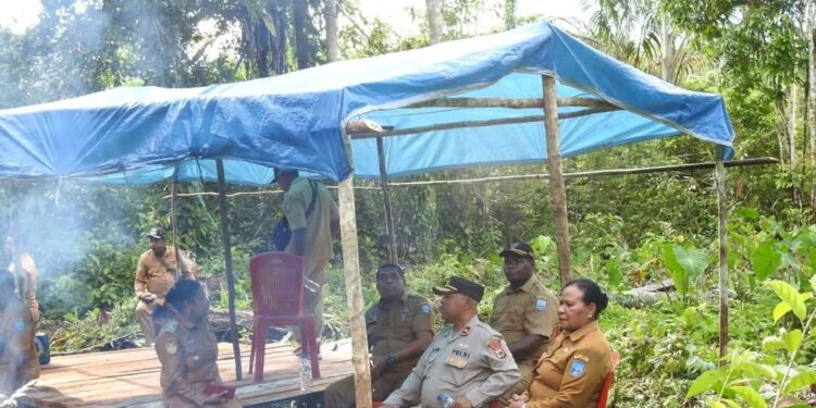 Sekda Ferra Wanggai Boyong Pimpinan OPD Lakukan Panen Raya Kebun Keladi di Kampung Waryesi Distrik Supiori Timur
