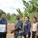 PLN UIP MPA Dorong Kemandirian Kampung Koya Koso Lewat Program Agroforestri Berbasis Hutan Rakyat