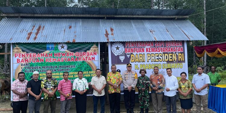 Bupati dan Wakil Bupati Supiori Serahkan Bantuan Hewan Kurban ke Masjid An ‘Nur Supiori