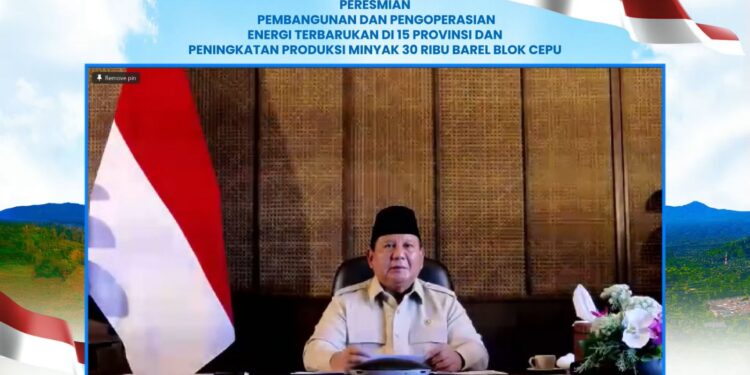 47 PLTS Diresmikan Presiden, 5.383 Rumah Tangga di Wilayah 3T Kini Nikmati Listrik Bersih