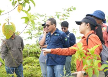 PLN UIP Maluku Papua Tinjau Lokasi Penanaman Rehabilitasi DAS untuk Pemenuhan Kewajiban IPPKH Pembangunan PLTA Genyem