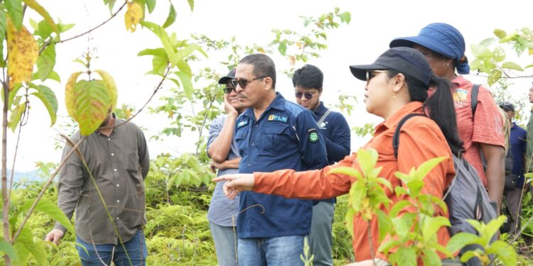 PLN UIP Maluku Papua Tinjau Lokasi Penanaman Rehabilitasi DAS untuk Pemenuhan Kewajiban IPPKH Pembangunan PLTA Genyem