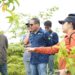 PLN UIP Maluku Papua Tinjau Lokasi Penanaman Rehabilitasi DAS untuk Pemenuhan Kewajiban IPPKH Pembangunan PLTA Genyem
