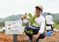 PLN UIP MPA Tanam Pohon di 160 Hektar Kawasan DAS, Wujud Komitmen Keberlanjutan Lingkungan di Papua