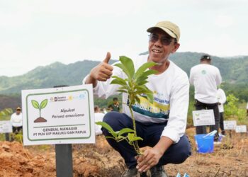PLN UIP MPA Tanam Pohon di 160 Hektar Kawasan DAS, Wujud Komitmen Keberlanjutan Lingkungan di Papua