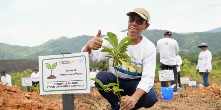 PLN UIP MPA Tanam Pohon di 160 Hektar Kawasan DAS, Wujud Komitmen Keberlanjutan Lingkungan di Papua